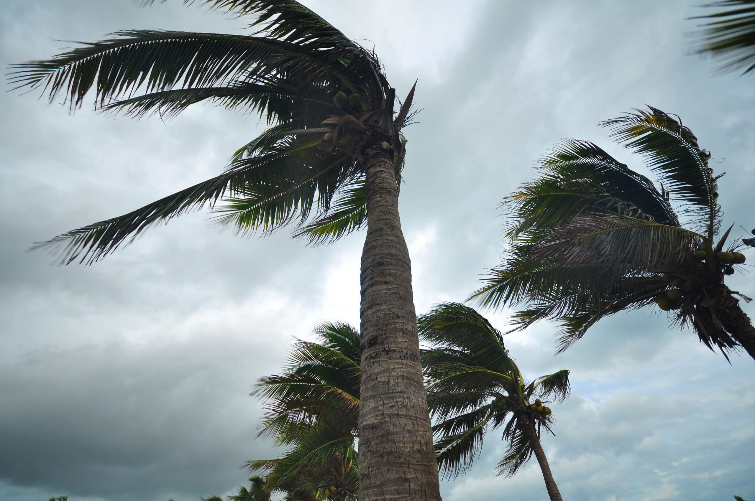 Hazard Communication in a Hurricane