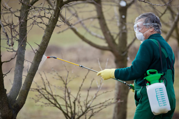 A Pest Management Approach to Chemical Compliance