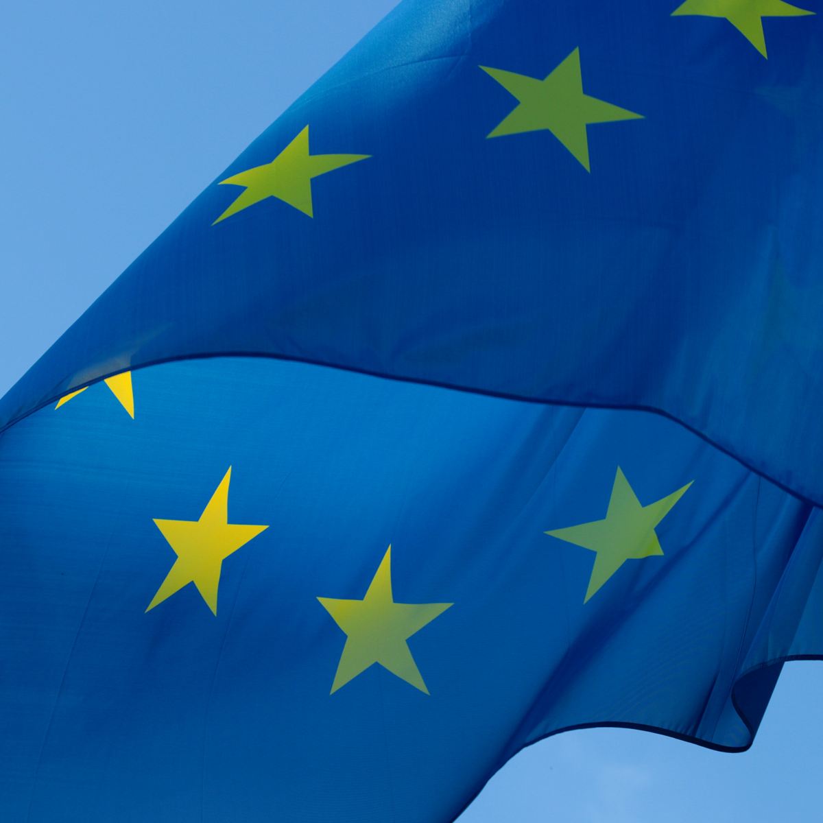 Ensuring Compliance with Revised Annex II Requirements for Safety Data Sheets