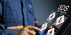 Decoding the SDS